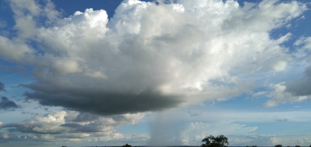 cumulus