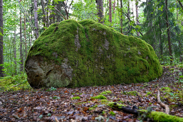 boulder