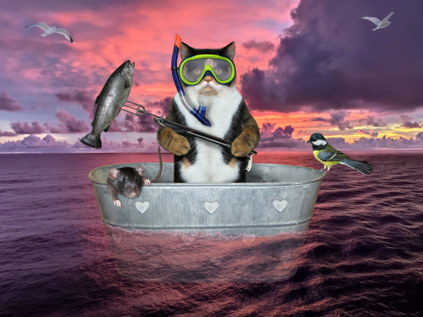 猫咪潜水员