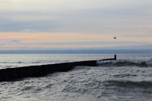 groyne