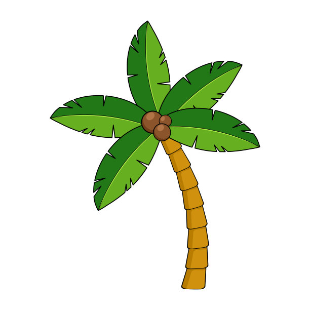 coconut