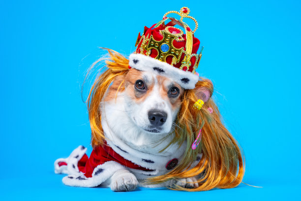 queen