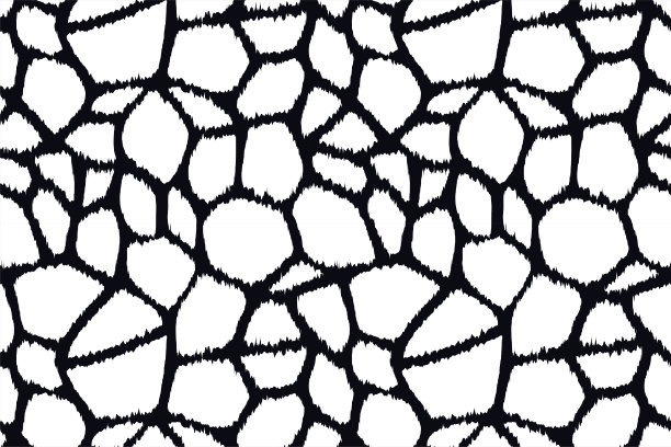 黑白风格长颈鹿图案插画