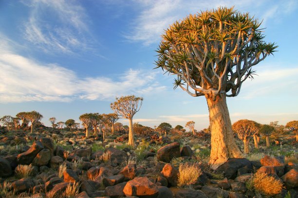 namibia