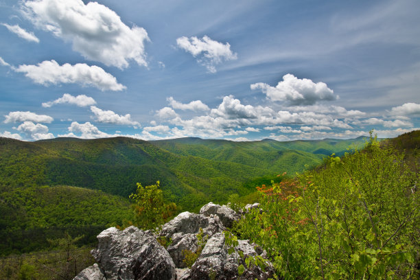 shenandoah