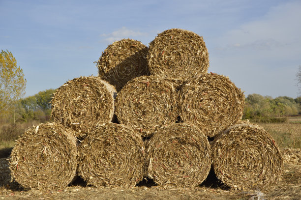bale