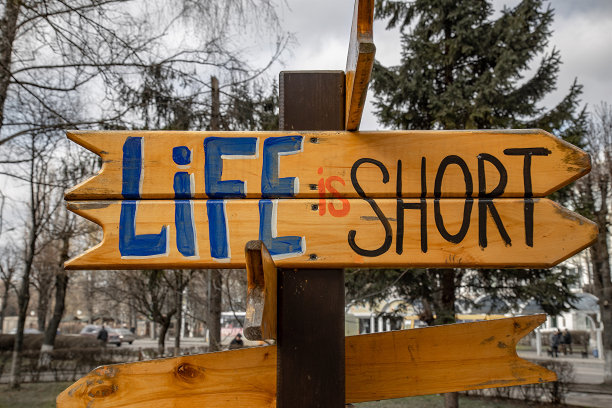 永不言败毛笔书法