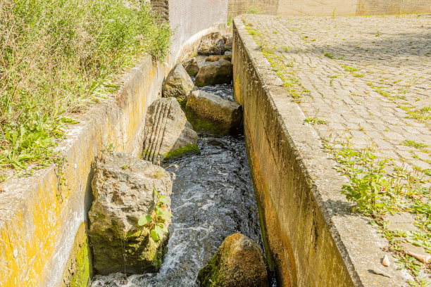 ditch