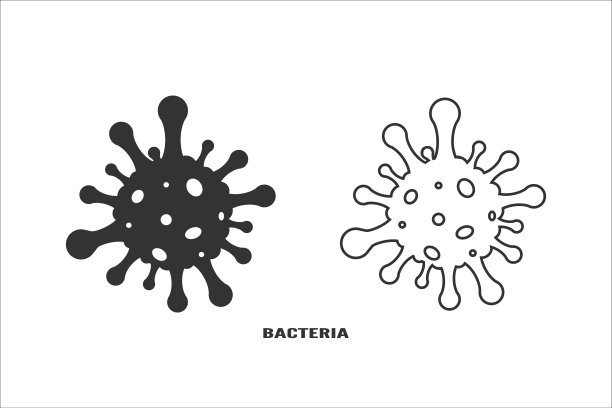 bacteria