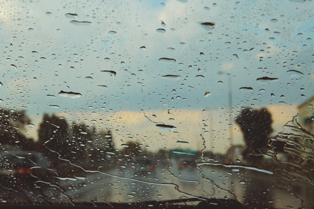 windshield