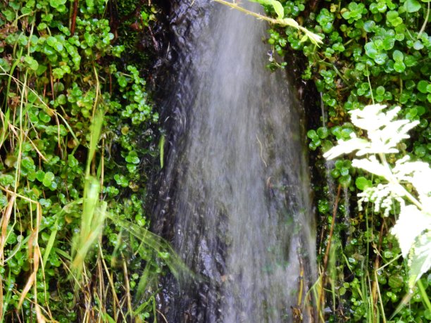 backwater