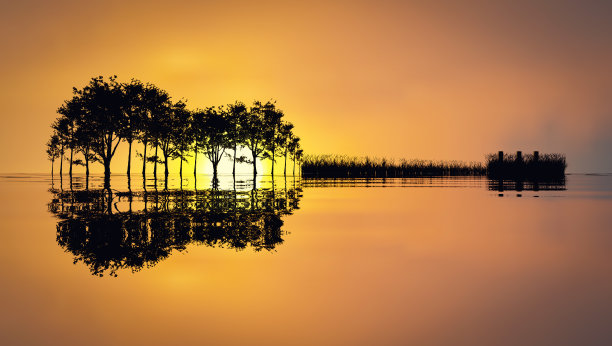 reflections