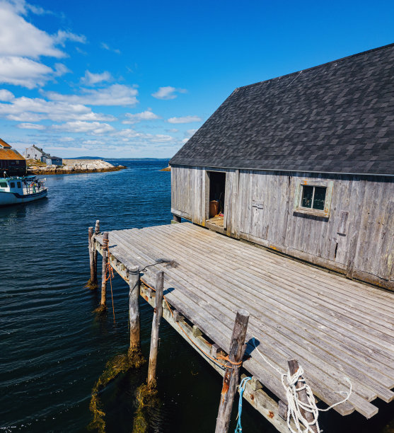 科技田园码头壁纸
