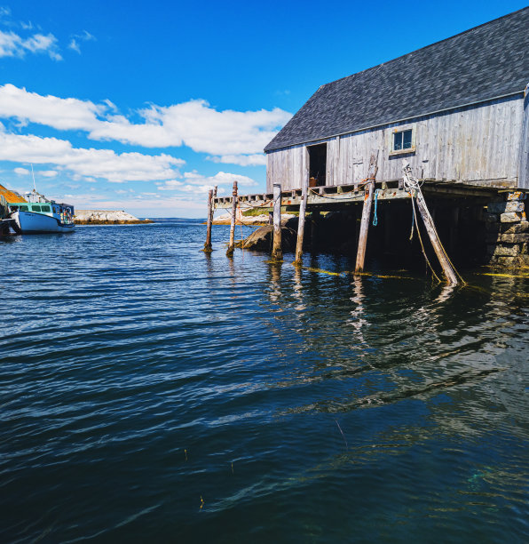 科技田园码头壁纸