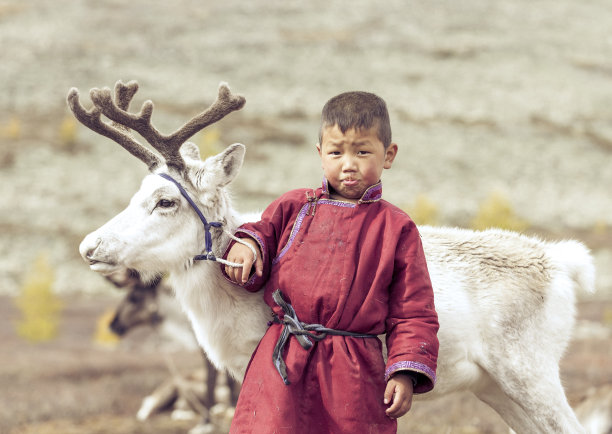 mongol