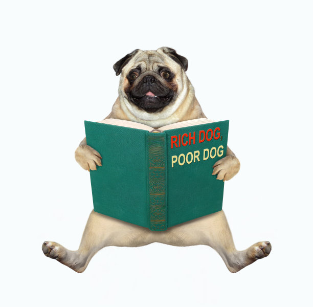 pug
