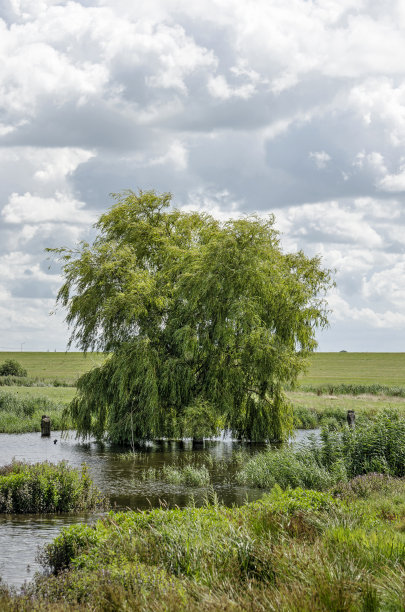 kampen