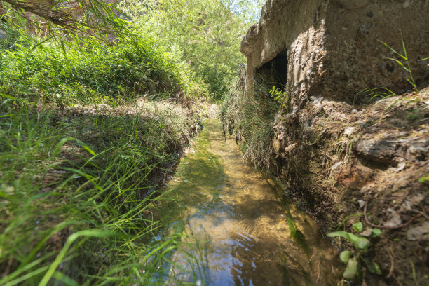 ditch