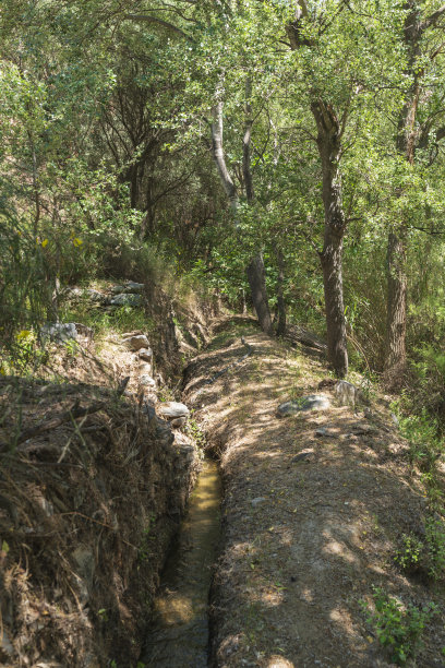ditch