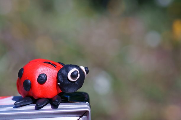 发光眼睛生物特写