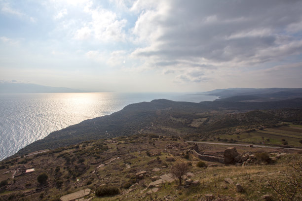 assos