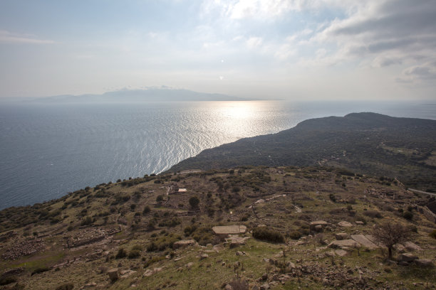 assos
