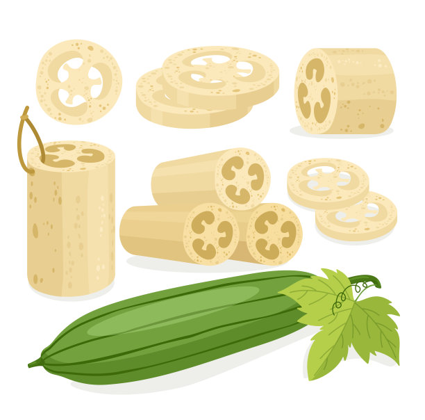 切片丝瓜