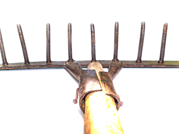 rake