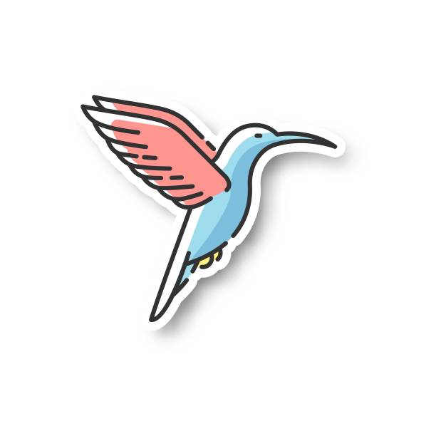 网络蜂鸟logo