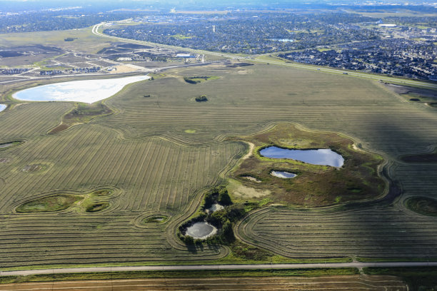 saskatoon