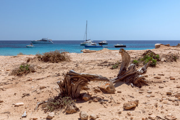 ibiza