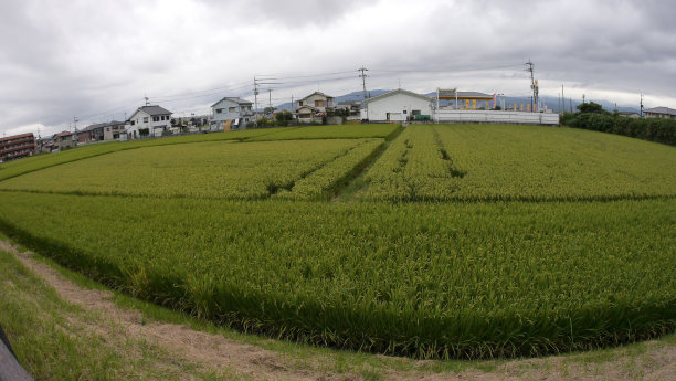 日式庭院凉亭