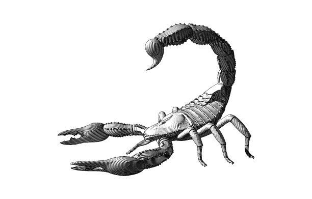 scorpio