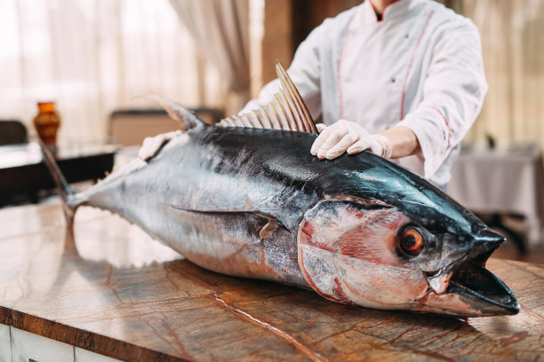 tuna