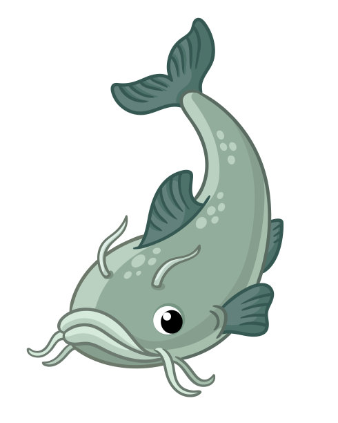 catfish