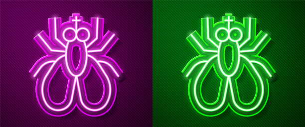 发光眼睛生物特写