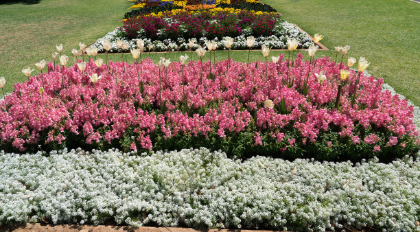 toowoomba
