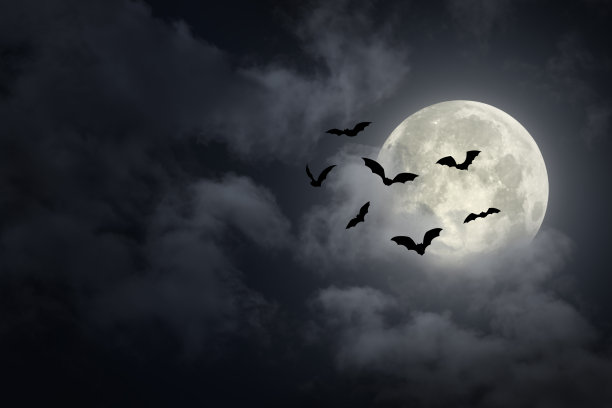 bat