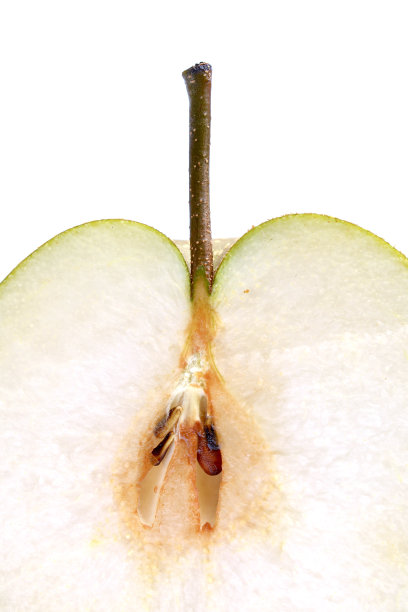 core