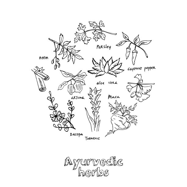 ayurveda
