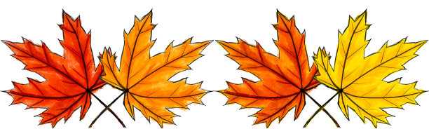 多彩秋季枫叶无缝图案