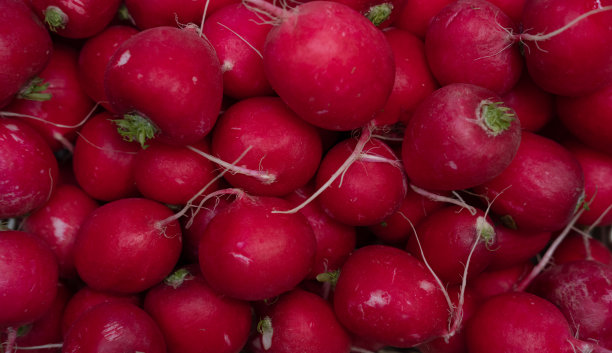 radishes