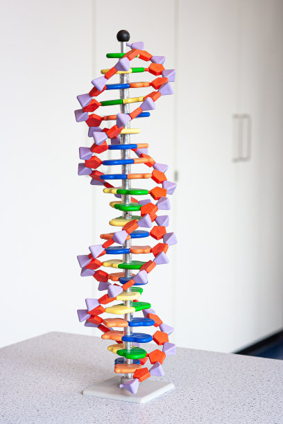 rna
