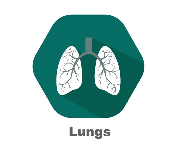 肺部疾病医院logo