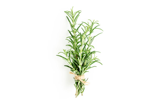 rosemary