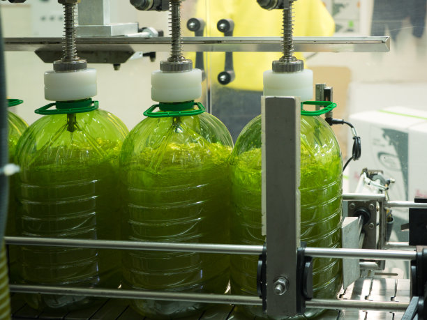 传统榨油花生油