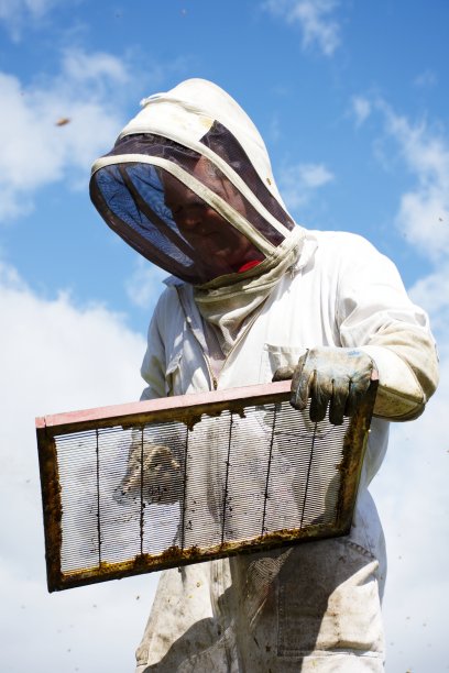 beekeeper