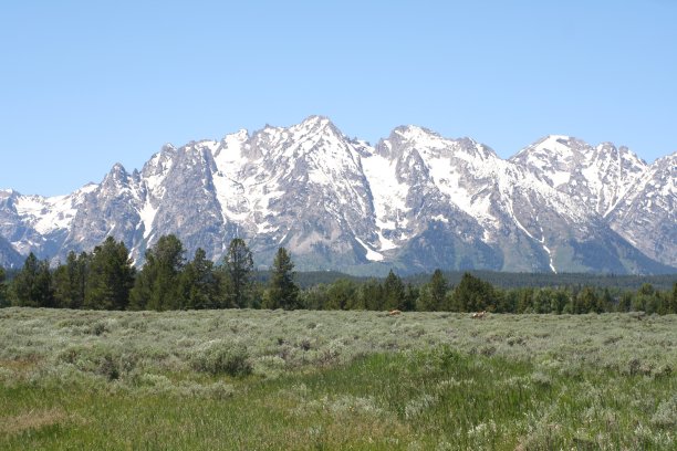 jackson