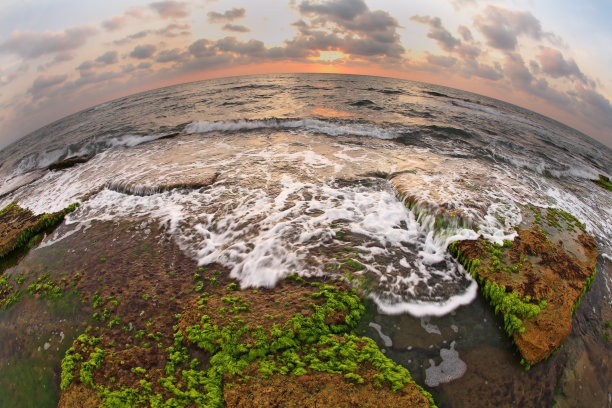 tide