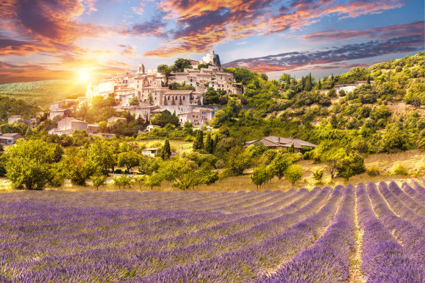 provence